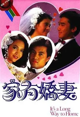《家有娇妻》：国语版温馨喜剧，笑料百出，家庭情感大碰撞！