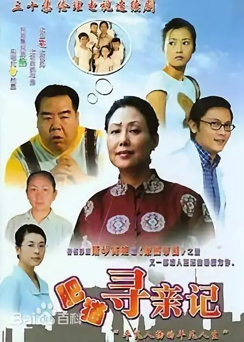 《肥猫寻亲记》：一部治愈心灵的爆笑寻亲之旅，感动与欢笑并存的经典之作！